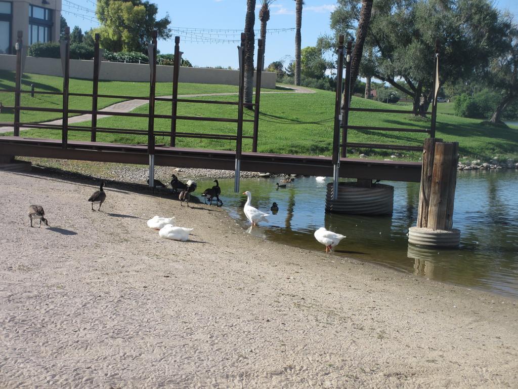 Mccormick Ranch Golf Villa سكوتسدايل المظهر الخارجي الصورة